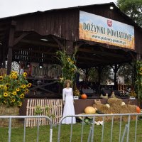 Zobacz w powiększeniu: Dożynki Powiatowe Baranów 2021 (54)